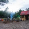 Camping y Conexión con la Naturaleza