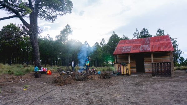 Camping y Conexión con la Naturaleza