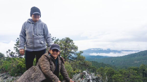 Camping y Conexión con la Naturaleza