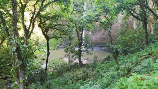 Senderismo Cascada de Tezozontla